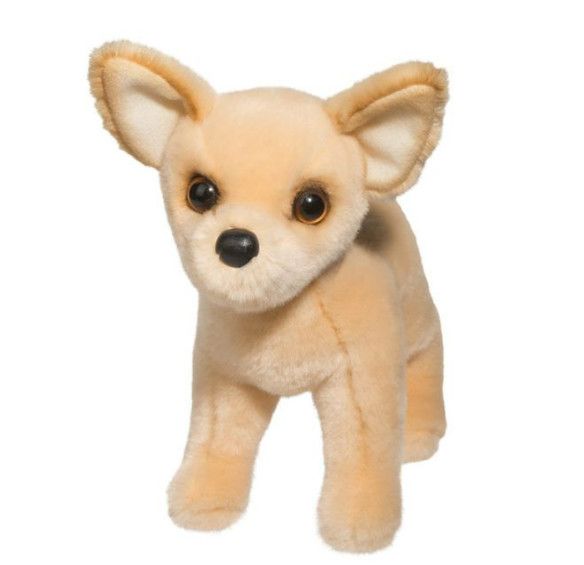 CARLOS CHIHUAHUA