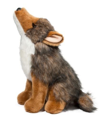 RAMBLER COYOTE