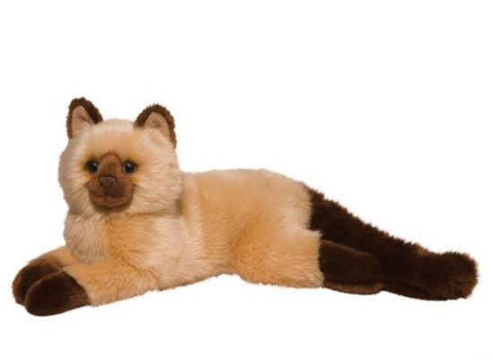 SEBASTIAN HIMALAYAN CAT