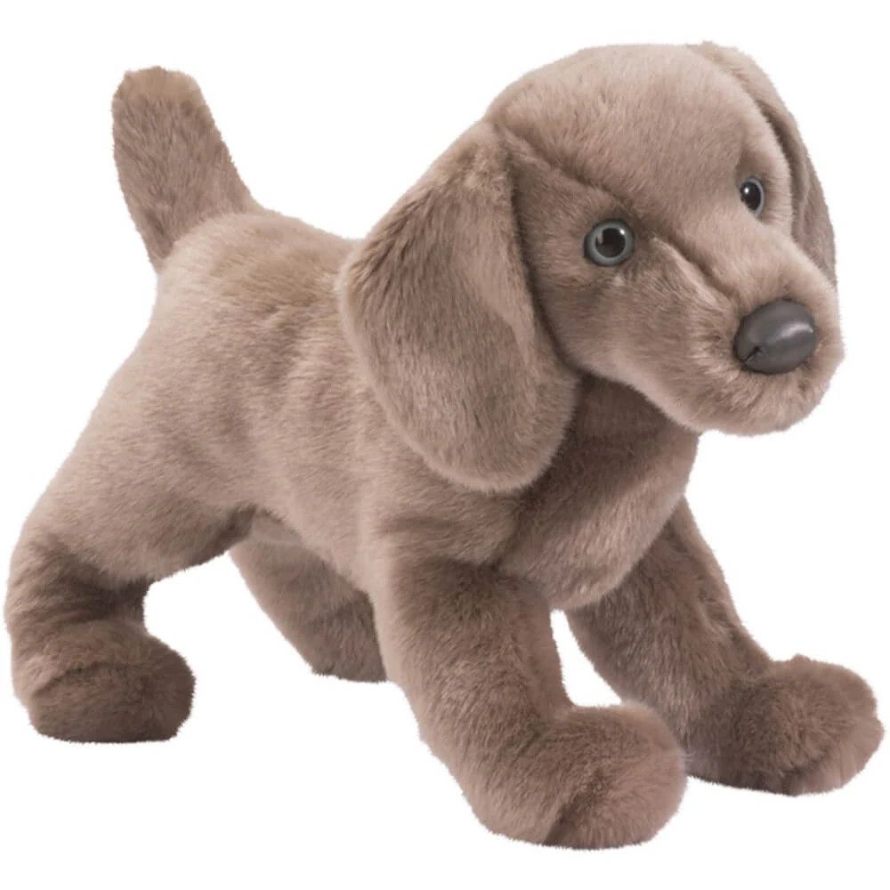 CASSIE WEIMARANER