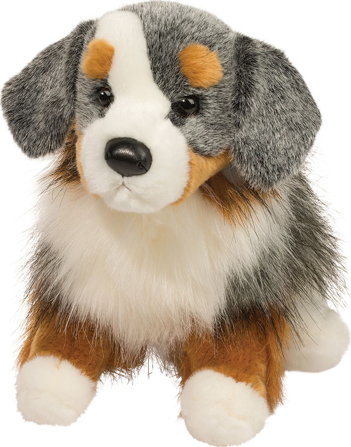 SINCLAIR AUSTRALIAN SHEPHERD