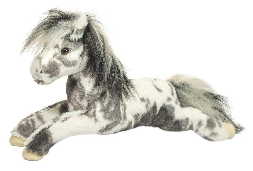 STARSKY APPALOOSA HORSE