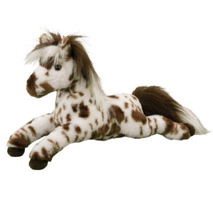 DUKE APPALOOSA HORSE