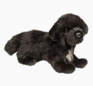 BUNDY NEWFOUNDLAND