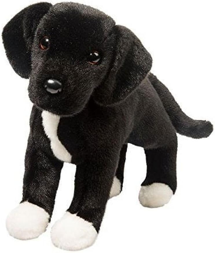 TWISTER BLACK LAB/PIT MIX