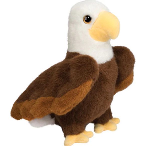 WINDY EAGLE