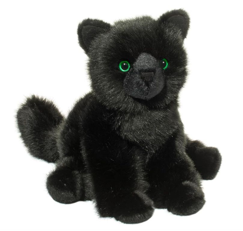 SALEM BLACK CAT