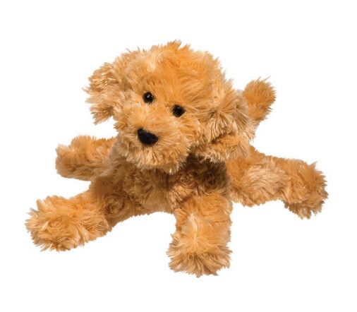 MOLASSES CARAMEL LABRADOODLE