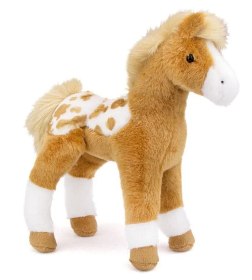 FRECKLES GOLDEN APPALOOSA FOAL