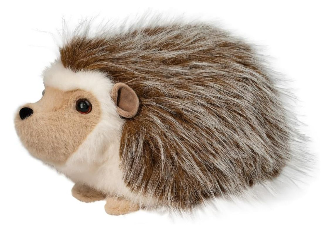 BRISTLE HEDGEHOG