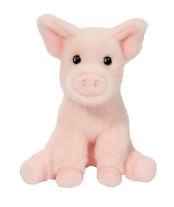 MINI PIG