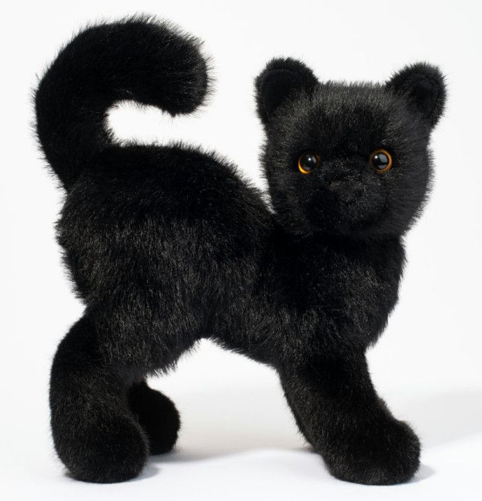 SCAREDY BLACK CAT