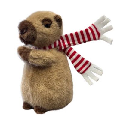 HOLIDAY CAPYBARA