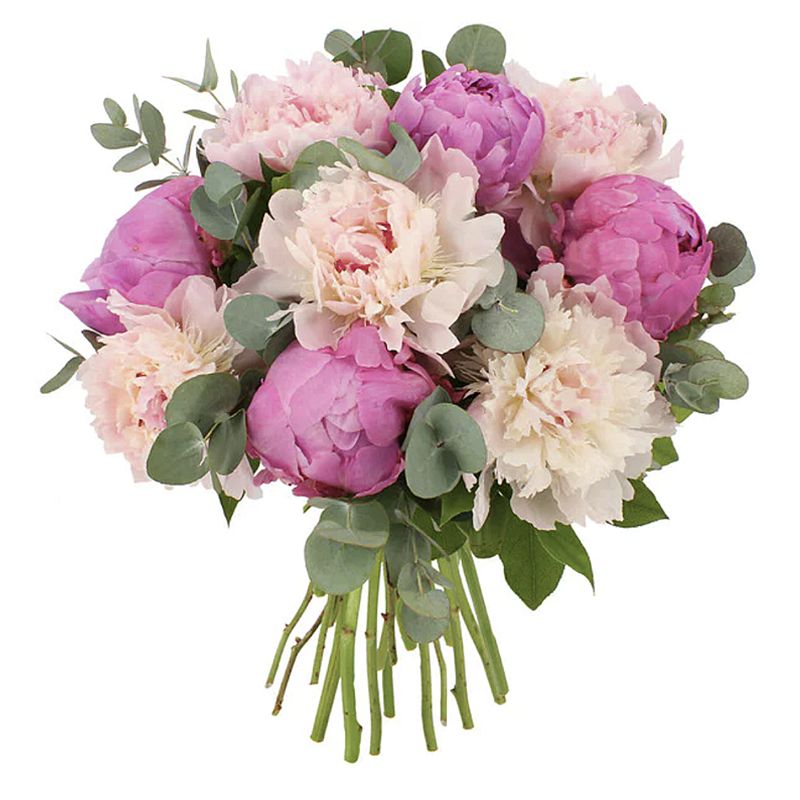 Bouquet de pivoines 904