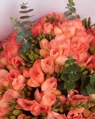 Ramo de fresias