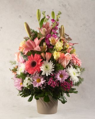 Arreglo floral colorido con mensaje de felicitación – entrega rápida en Buenos Aires