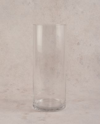 Vaso de Vidro Elegante