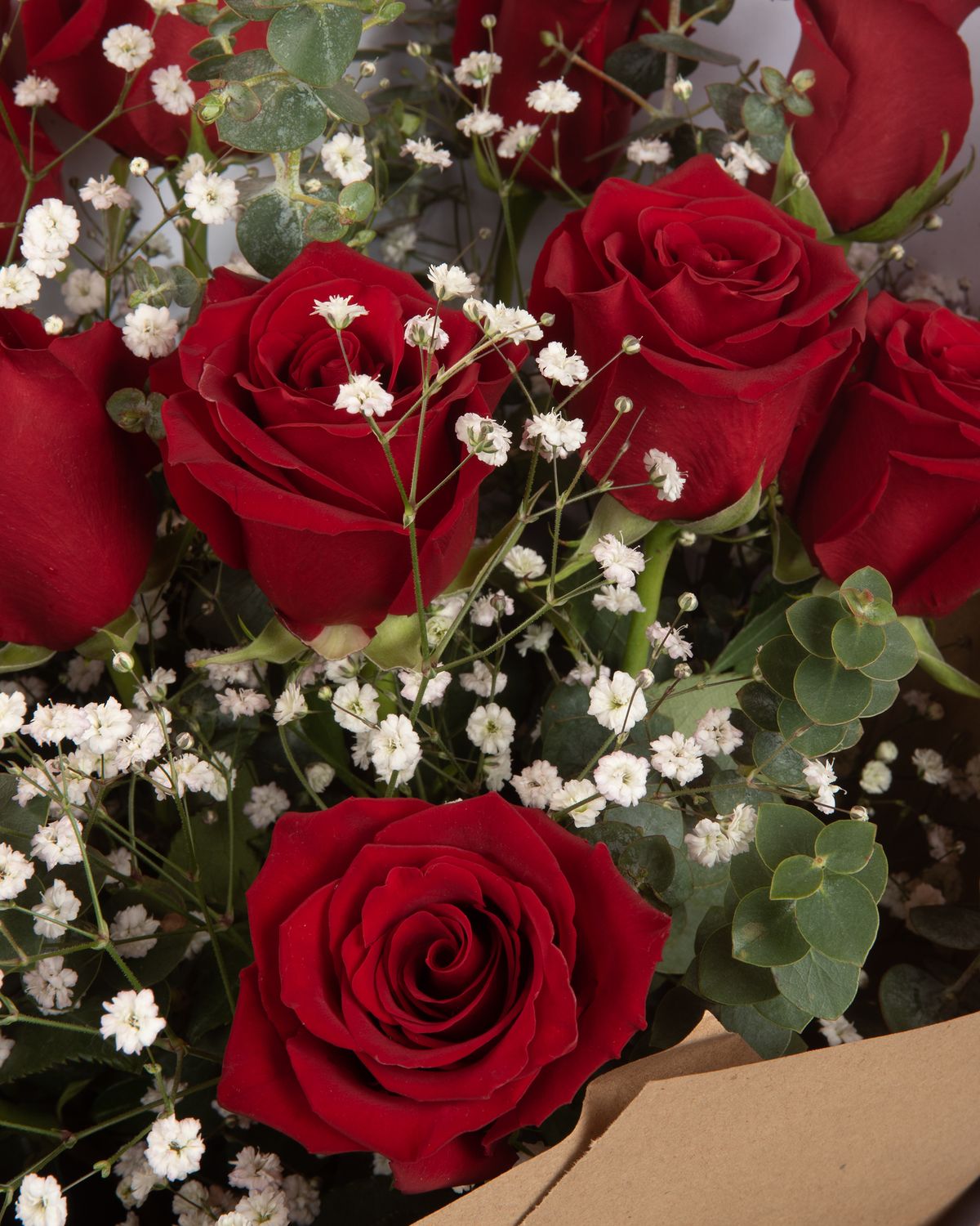 Bouquet of Roses