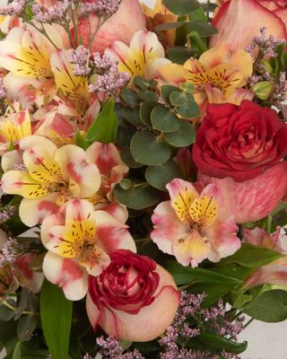 Ramo de rosas y alstroemerias