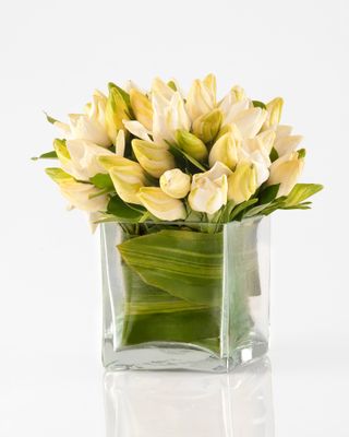 Arreglo Sueños de Jazmín: 50 jazmines perfumados con hoja de aspidistra en florero cúbico de vidrio