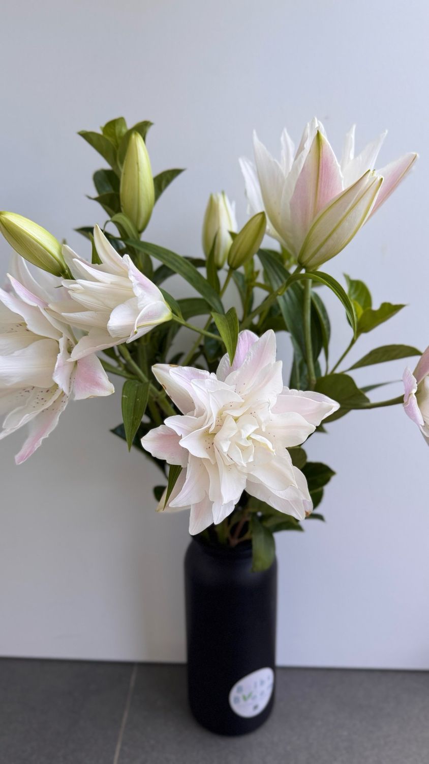 Double Petal Lilies