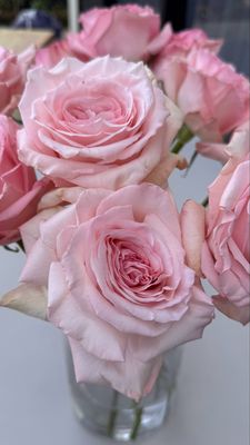 Pink Roses