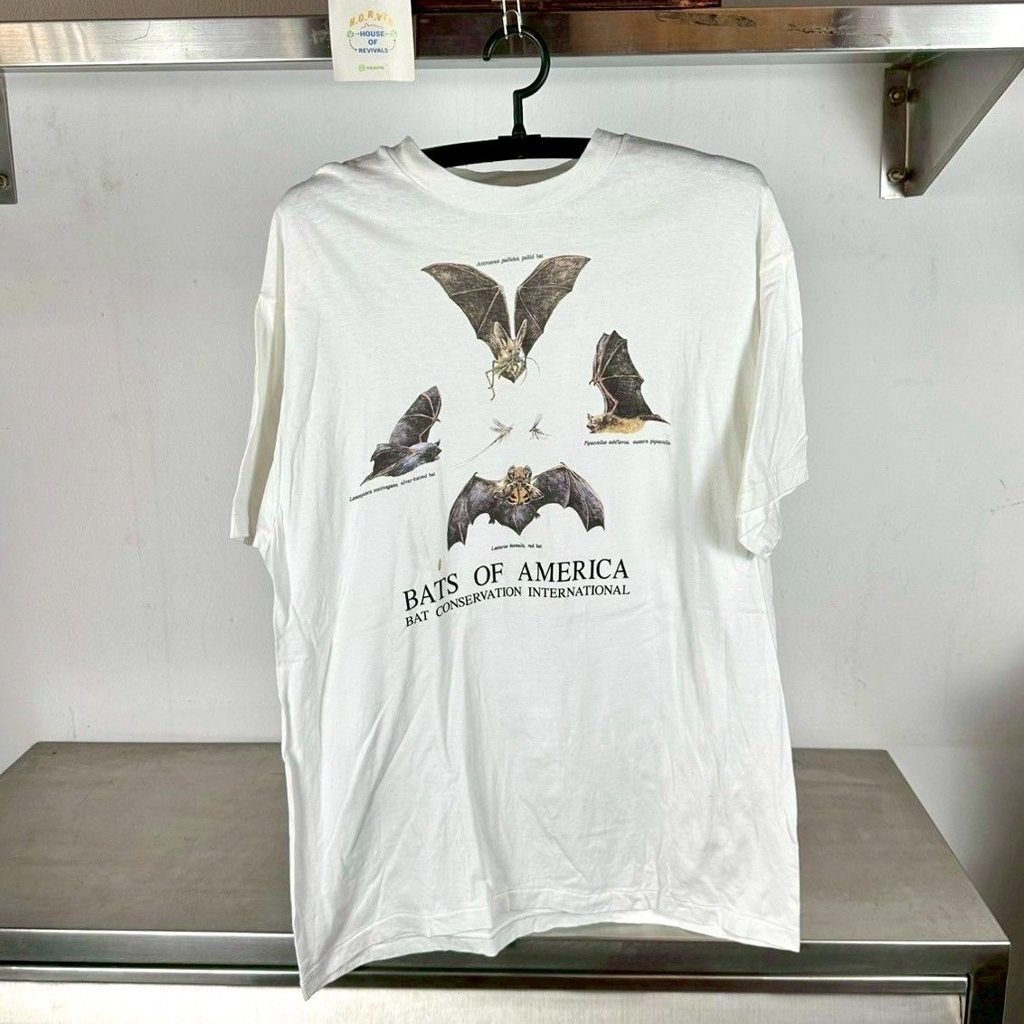 Vintage 90s Bats of America Nature Artwork Large Single Stitch T-shirt