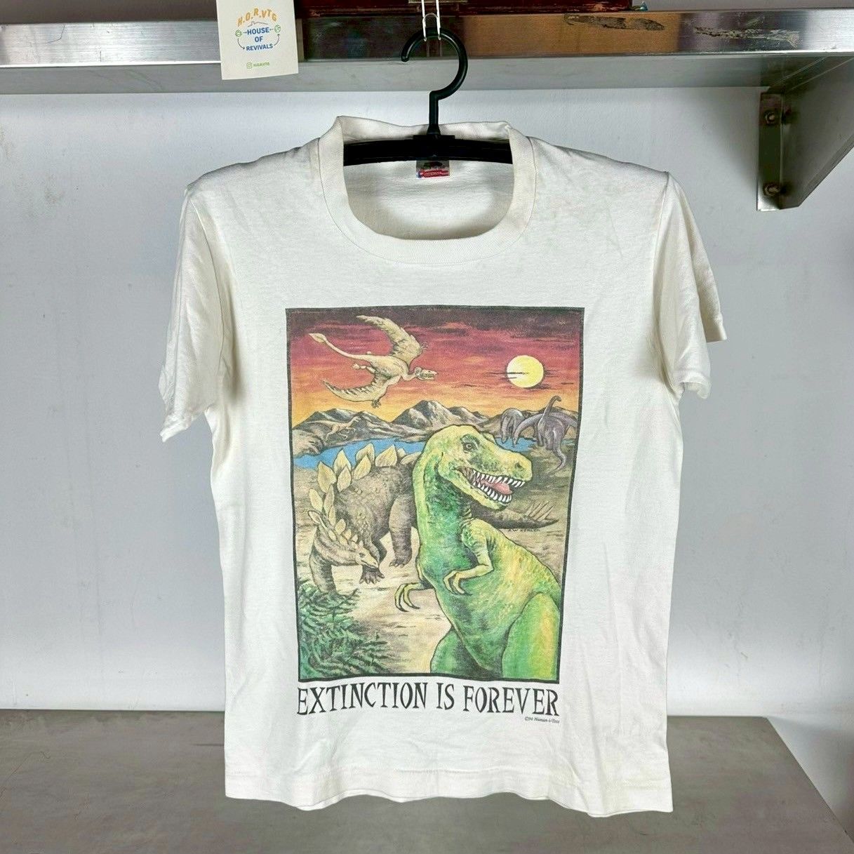 ​Vintage 1994 Extinction is Forever Dinosaur Artwork T-shirt