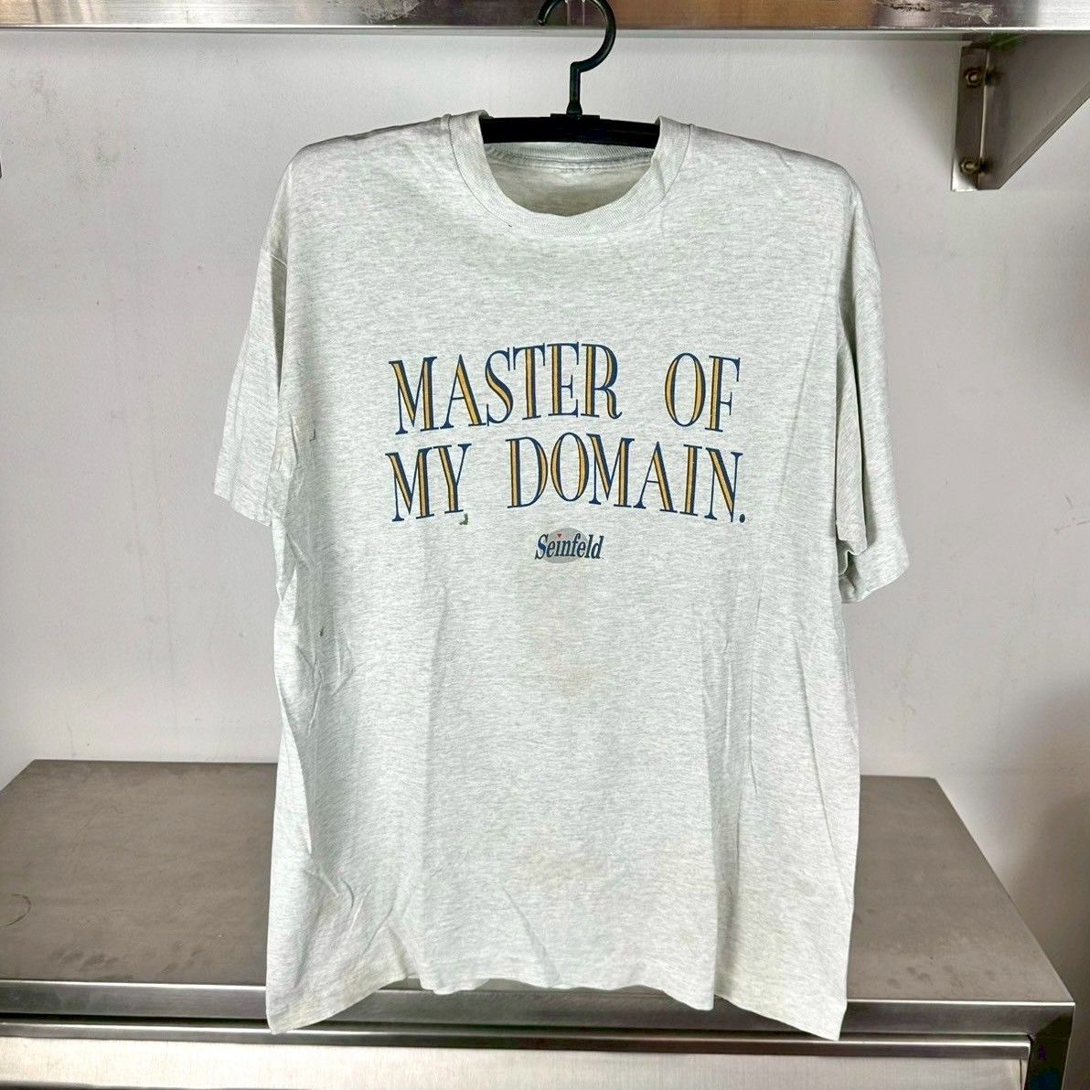 ​​Vintage 90s Seinfeld Master of My Domain TV Show T-shirt