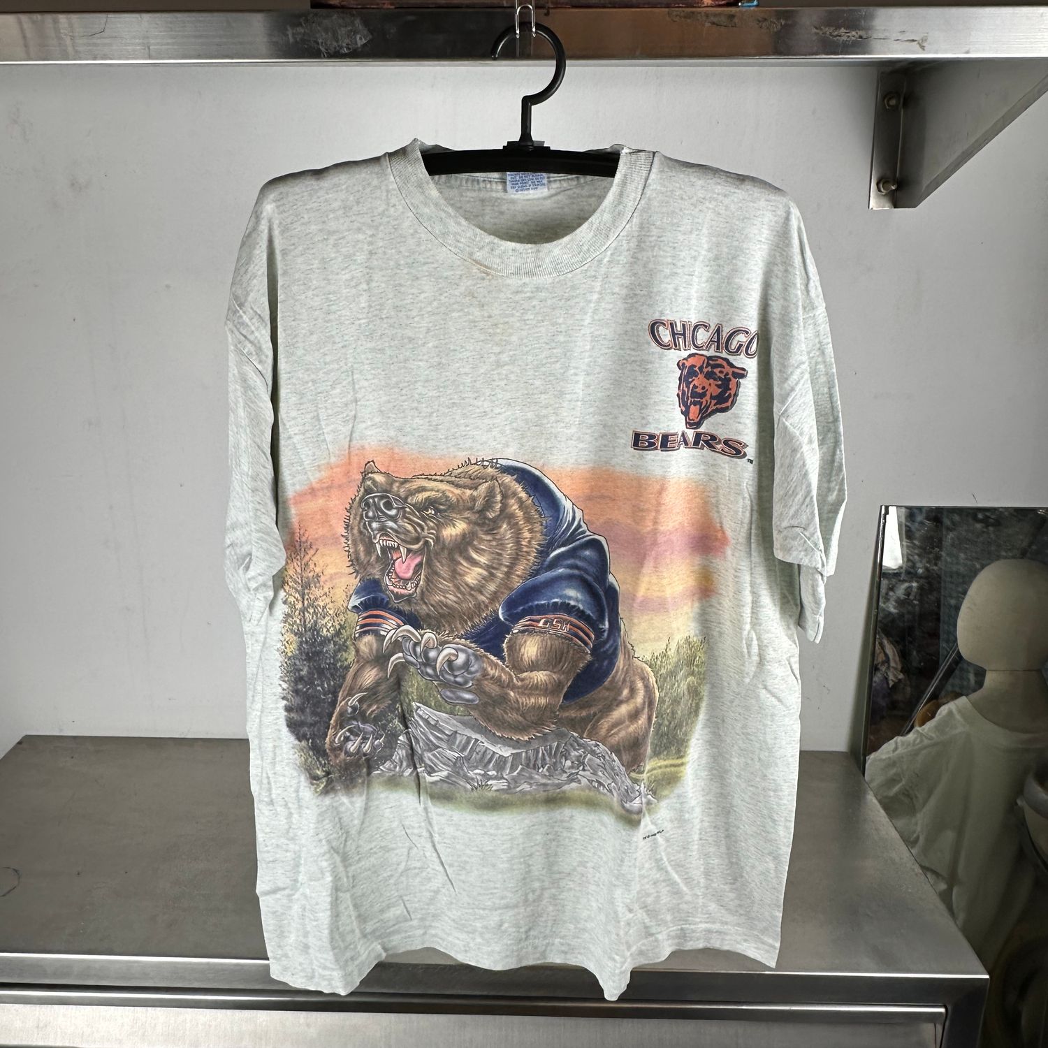Vintage 1995 Chicago Bears Salem Sportswear NFL T-shirt