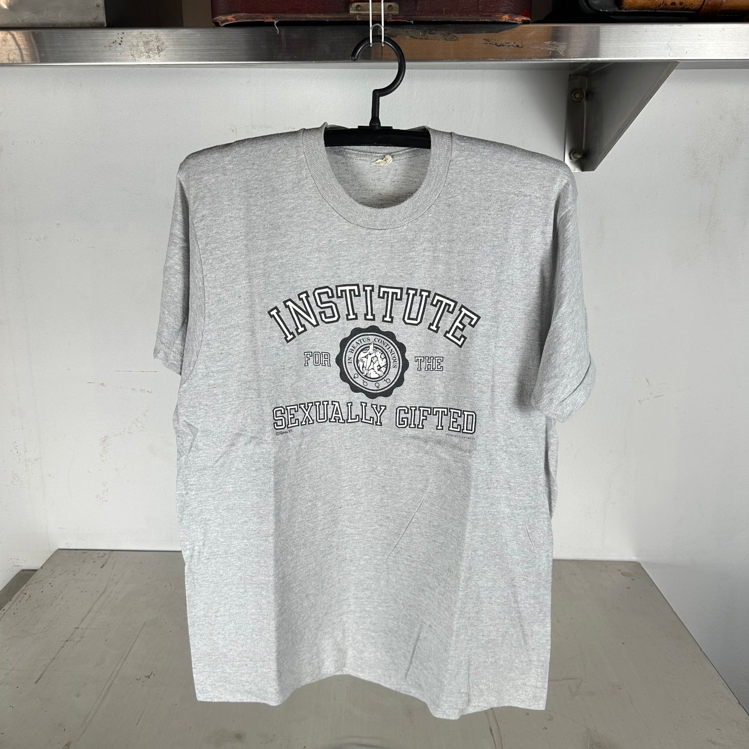 ​Vintage 1985 Institute For The Sexually Gifted Humor T-Shirt