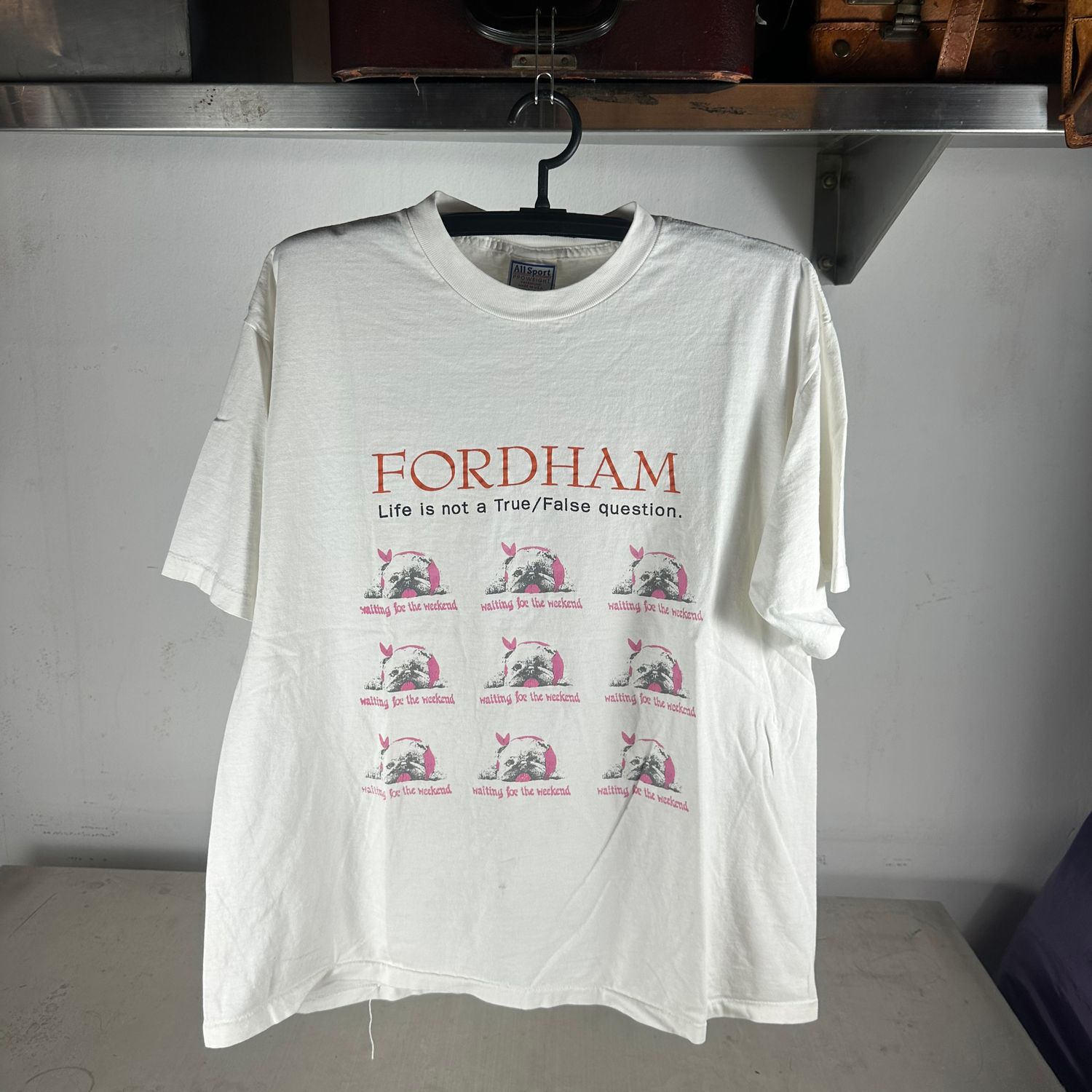 ​Vintage 90s Fordham Life is Not a True/False Question Dog Graphic T-shirt