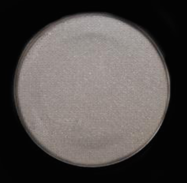Charcoal Brow Powder