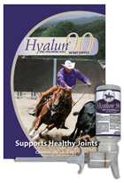 Hyalun 90-Day