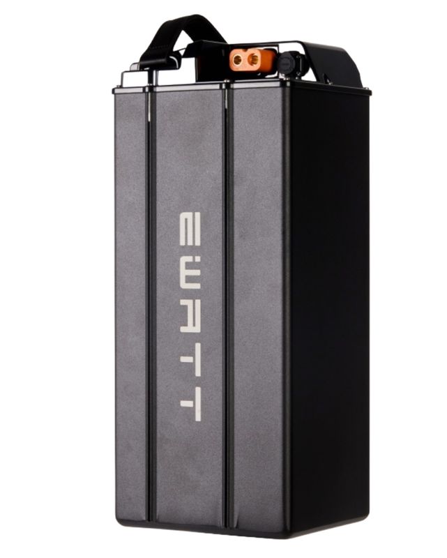 E RIDE PRO SS Batteries