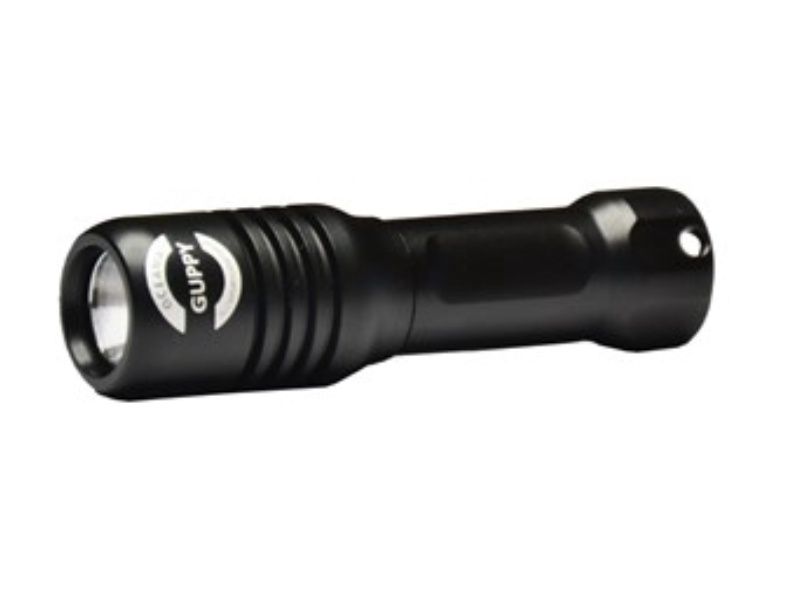Oceama Torch Guppy back up