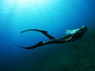 FREEDIVE
