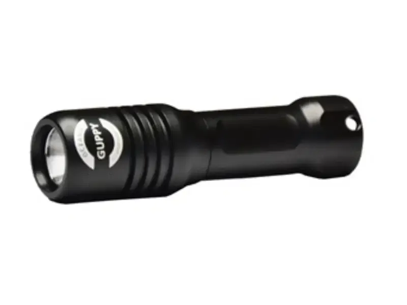 Oceama Torch Guppy back up