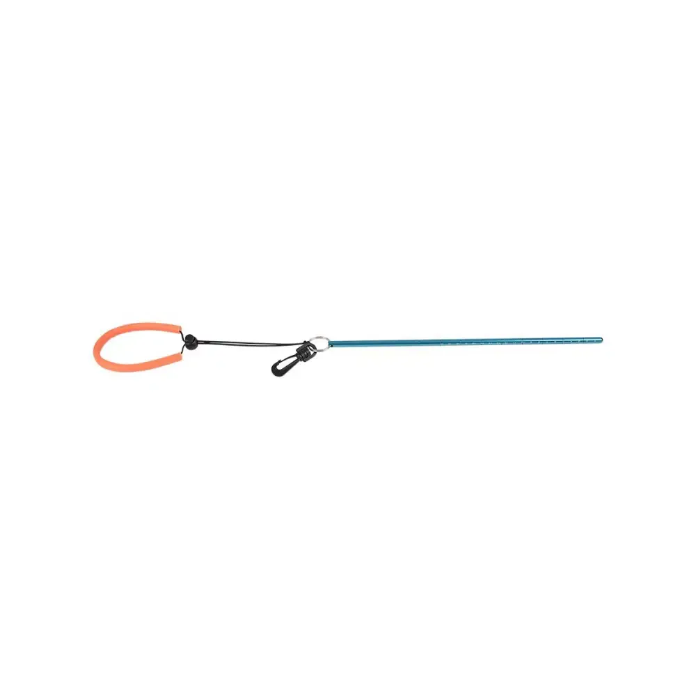 Pointer met lanyard &amp; liniaal