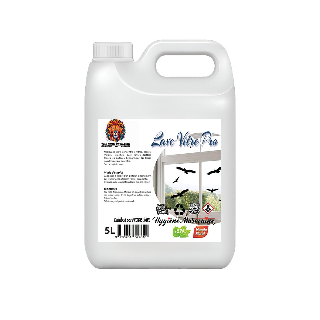 Lave vitre 5L