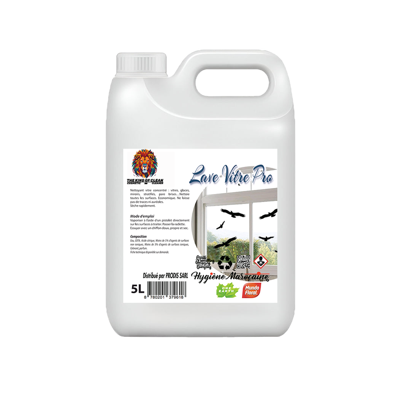 Lave vitre 5L