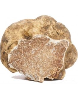 Weiße Trüffel (Tuber Magnatum Pico)