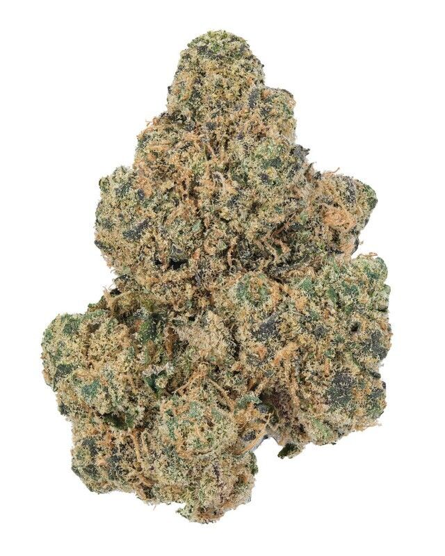 Dom Pérignon OG 9-12% CBD  pro Gramm
