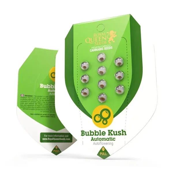 Bubble Kush Automatic 1 Seed - Royal Queen Seeds -