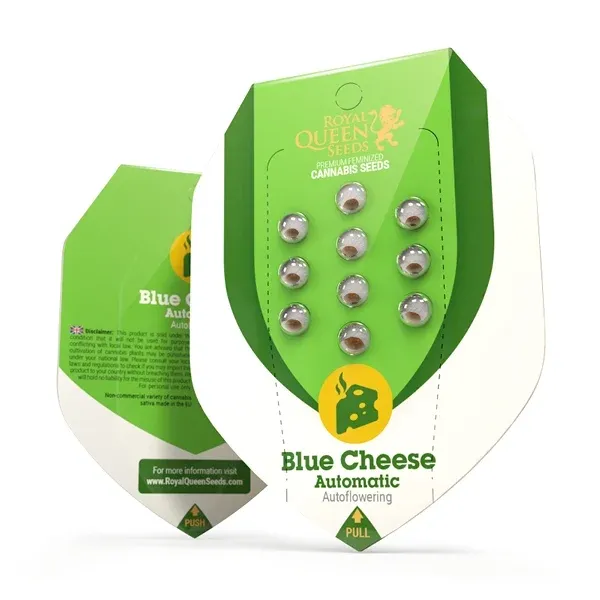 Blue Cheese Automatic 1 Seed - Royal Queen Seeds -