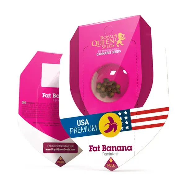 Fat Banana feminisiert 1 Seed - Royal Queen Seeds -