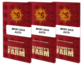 Moby Dick Automatik 3 Seeds - BARNEYS FARM -