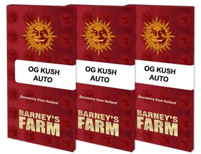 OG Kush Automatik 1 Seed - BARNEYS FARM -