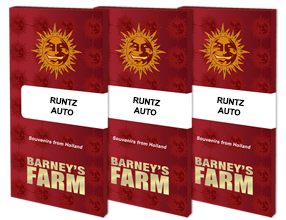 Runtz Automatik 3 Seeds - BARNEYS FARM -