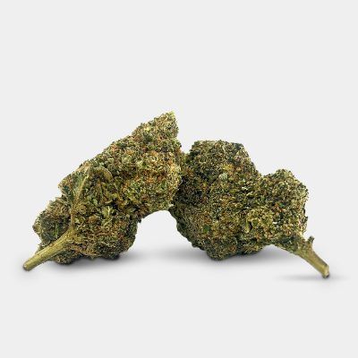 Mr. Nice 10% 10 OH-HHC pro Gramm